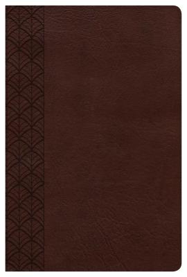 The CSB Study Bible For Women, Chocolate LeatherTouch Image for The CSB Study Bible For Women, Chocolate LeatherTouch