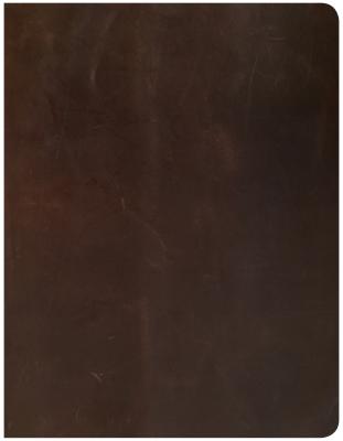 Image for CSB Notetaking Bible, Brown Genuine Leather Over Board