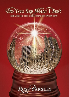 Do You See What I See: Exploring the Christmas of Every Day