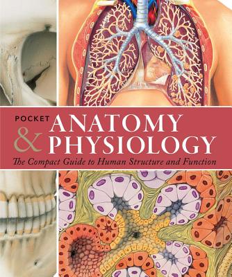 Pocket Anatomy & Physiology The Compact Guide To T