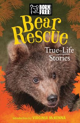 Bear Rescue