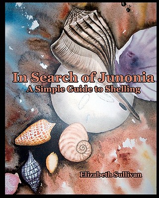 In Search Of Junonia: A Simple Guide To Shelling