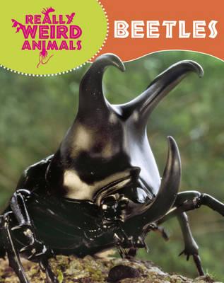 Beetles