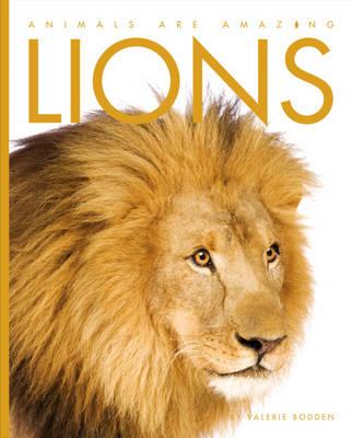 Lions (Animals are Amazing)