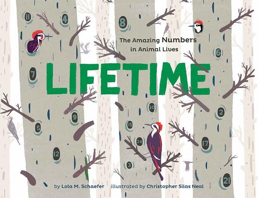 Image for Lifetime: The Amazing Numbers in Animal Lives Lifetime: The Amazing Numbers in Animal Lives