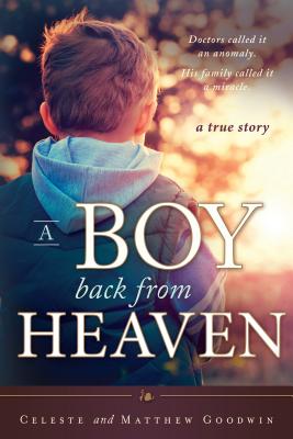 Image for A Boy Back From Heaven