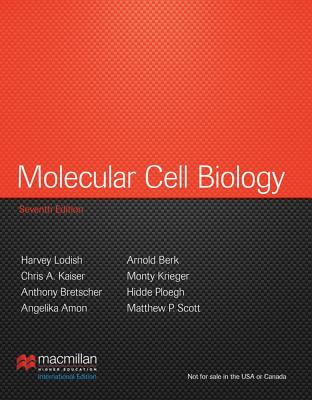 Image for Molecular Cell Biology 7Ed (b 2012) Molecular Cell Biology 7Ed (b 2012)