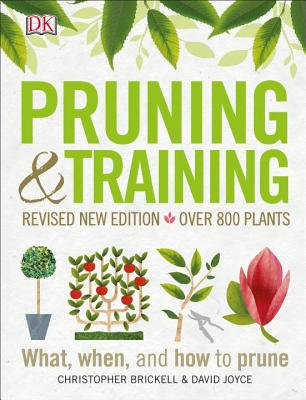 Pruning and Training, Revised New Edition: What, When, and How to Prune (Revised New)