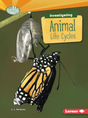 Image for Investigating Animal Life Cycles: Searchlight Books What Are Earth's Cycles?