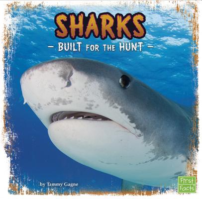 Sharks (First Facts: Predator Profiles)
