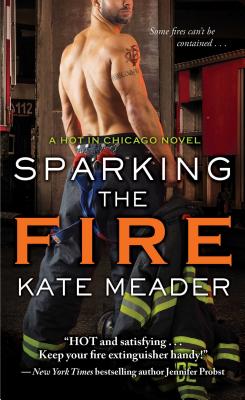 Sparking the Fire (Hot in Chicago)