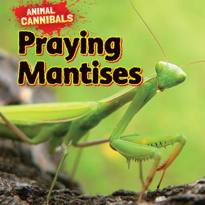 Praying Mantises (Animal Cannibals)