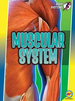 Muscular System (Body Systems)