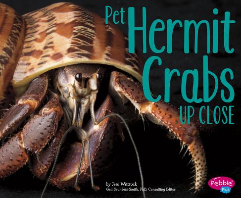 Pet Hermit Crabs Up Close (Pets Up Close)