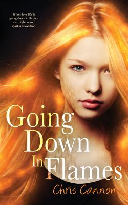 Going Down in Flames (A Going Down in Flames Novel)
