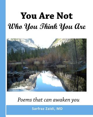 You Are Not Who You Think You Are: Poems That Can Awaken You