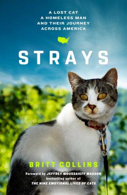 Image for Strays: The True Story of a Lost Cat, a Homeless Man, and Their Journey Across America