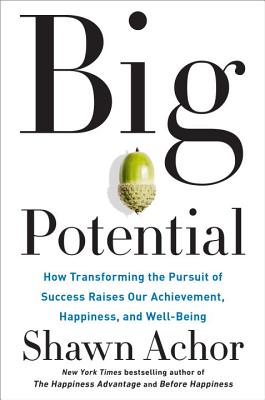 Image for Big Potential: How Transforming the Pursuit of Success Raises Our Achievement, Happiness, and Well-Being