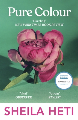 Pure Colour: the new novel from the author of Motherhood and How Should A Person Be