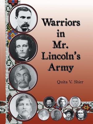 Warriors in Mr. Lincolns Army: Native American Soldiers Who Fought in the Civil War