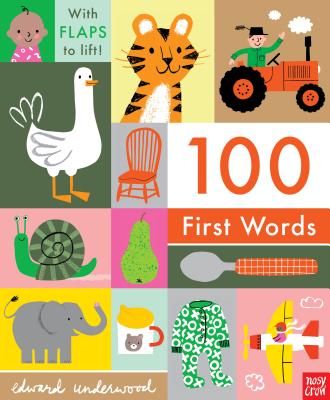 Image for 100 First Words 100 First Words