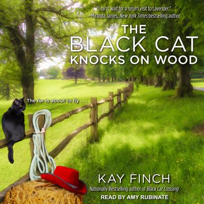 The Black Cat Knocks on Wood (Bad Luck Cat Mystery) Image for The Black Cat Knocks on Wood (Bad Luck Cat Mystery)