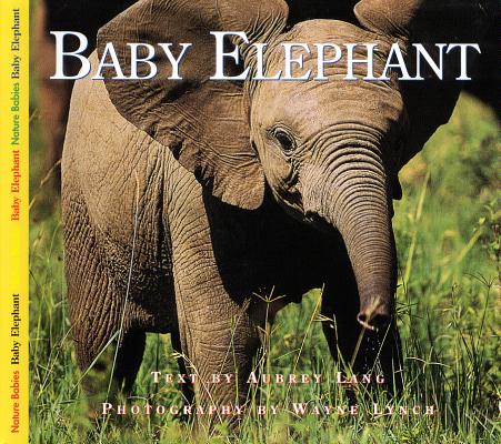 Baby Elephant (Nature Babies), Aubrey Lang Baby Elephant (Nature Babies), Aubrey Lang