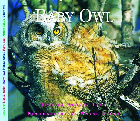 Baby Owl (Nature Babies), Aubrey Lang Baby Owl (Nature Babies), Aubrey Lang