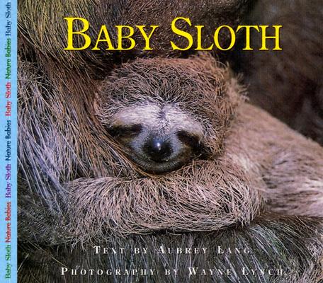 Image for Baby Sloth (Nature Babies)