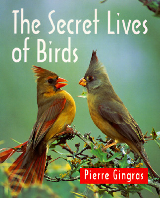 Image for The Secret Lives of Birds