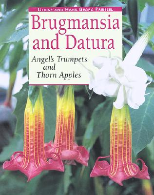 Brugmansia And Datura Angel's Trumpets And Thorn Apples