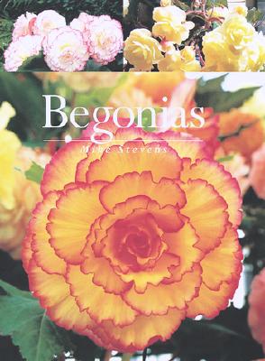 Image for Begonias Begonias