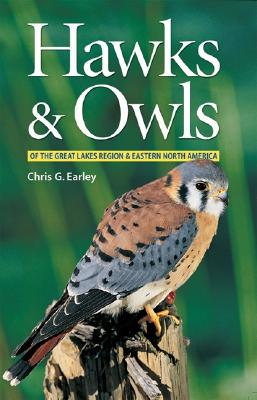 Image for Hawks & Owls Hawks & Owls