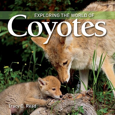 Image for Exploring the World of Coyotes Exploring the World of Coyotes