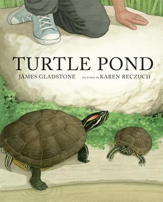 Image for Turtle Pond