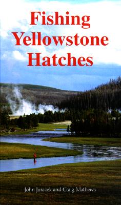 Fishing Yellowstone Hatches