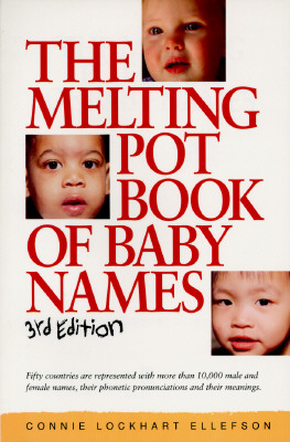 Image for The Melting Pot Book of Baby Names