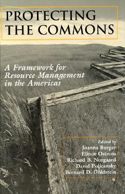 Image for Protecting the Commons: A Framework For Resource Management In The Americas
