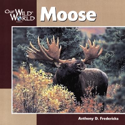 Moose -OSI