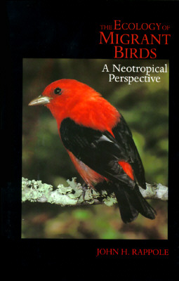 The Ecology Of Migrant Birds A Neotropical Perspective
