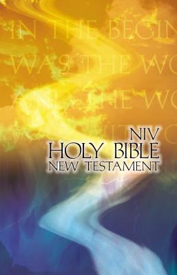New Testament: New International Version, Outreach, God's Word