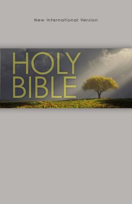 Image for NIV, Outreach Bible, Paperback, Gray