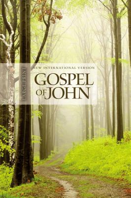 NIV, Gospel of John, Large Print, Paperback