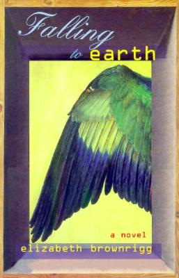 Falling to Earth: A Novel