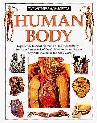 Image for Human Body (Eyewitness Science)