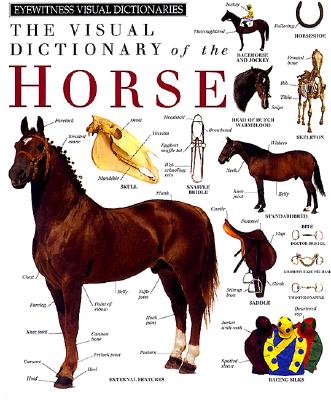 Image for VISUAL DICTIONARY OF THE HORSE