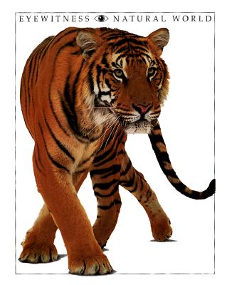 Eyewitness Natural World (Companion to the Pbs Series)