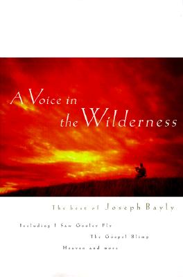 Image for A Voice in the Wilderness (Joseph Bayly Series)