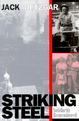 Striking Steel (Solidarity Remembered) (Critical Perspectives on the past series)