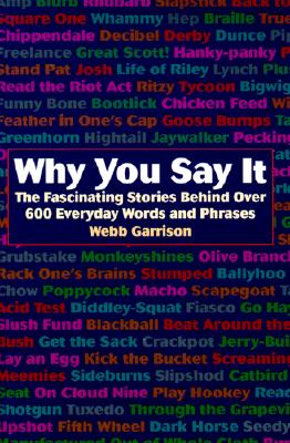 Image for WHY YOU SAY IT THE FASCINATING STORIES BEHIND OVER 600 EVERYDAY WORDS AND PHRASES